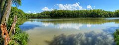 etang de bonfol2