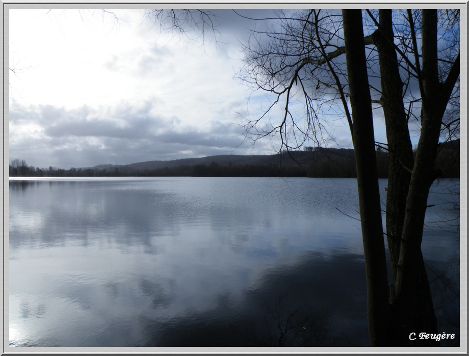 Etang de Bouvaincourt sur Bresle