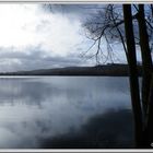 Etang de Bouvaincourt sur Bresle