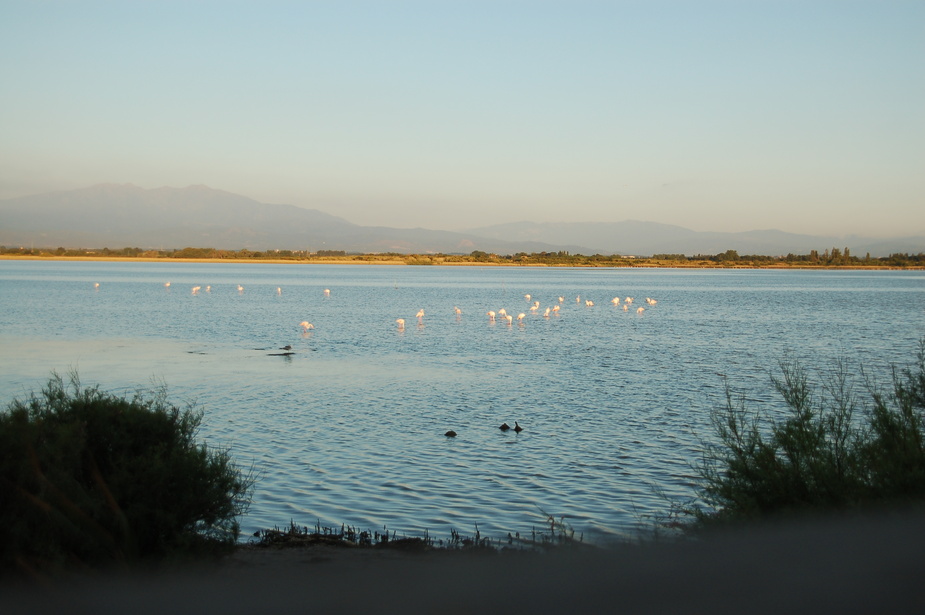 Etang de Canet....