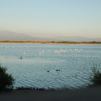 Etang de Canet....