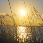 etang de canet