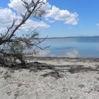 etang de canet saint nazaire