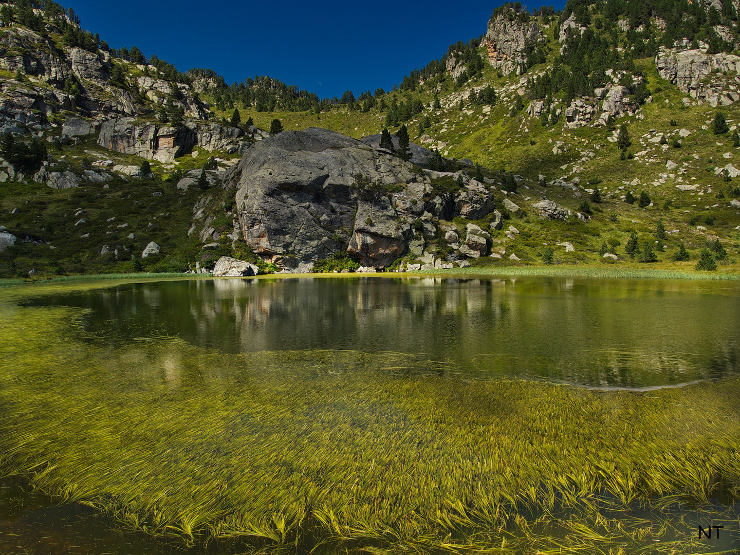 Etang de Carau d'en Haut.