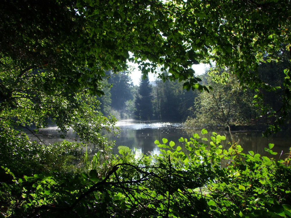 etang de faux rupt