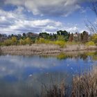 Etang de Font Merle