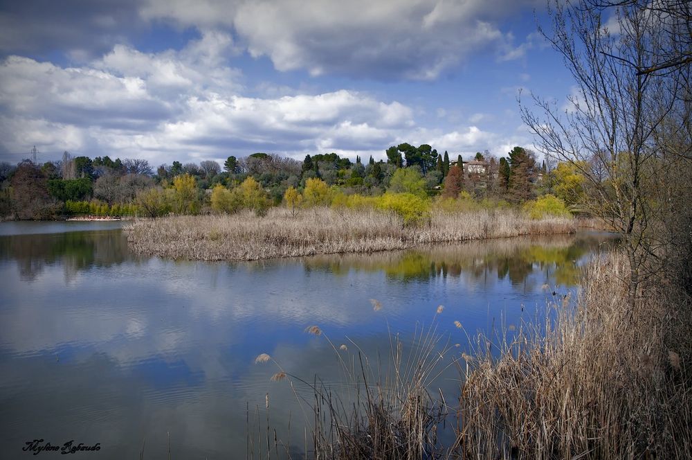 Etang de Font Merle