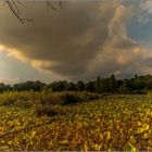 Etang de Font Merle