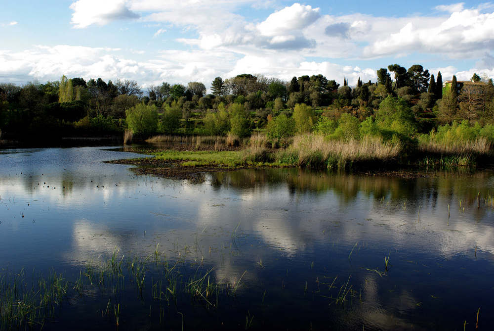 Etang de Fontmerle a Mougin