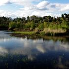 Etang de Fontmerle a Mougin