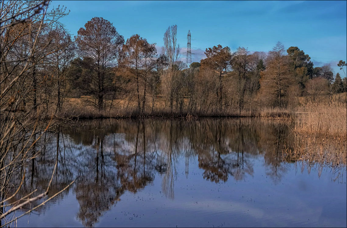 Etang de Fontmerle