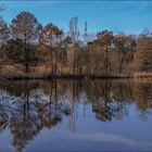 Etang de Fontmerle