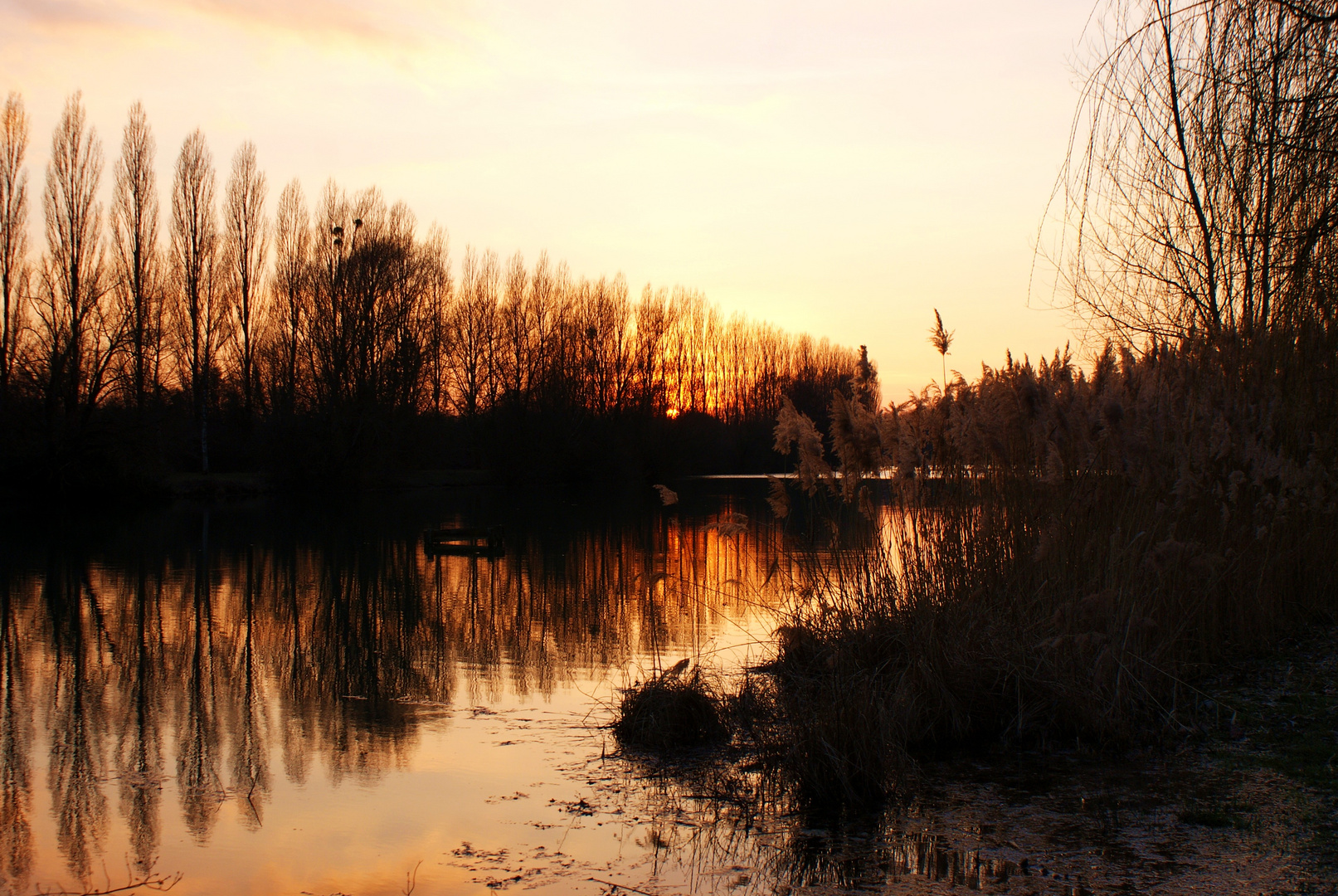 Etang de Fresne Saint Mames (70)