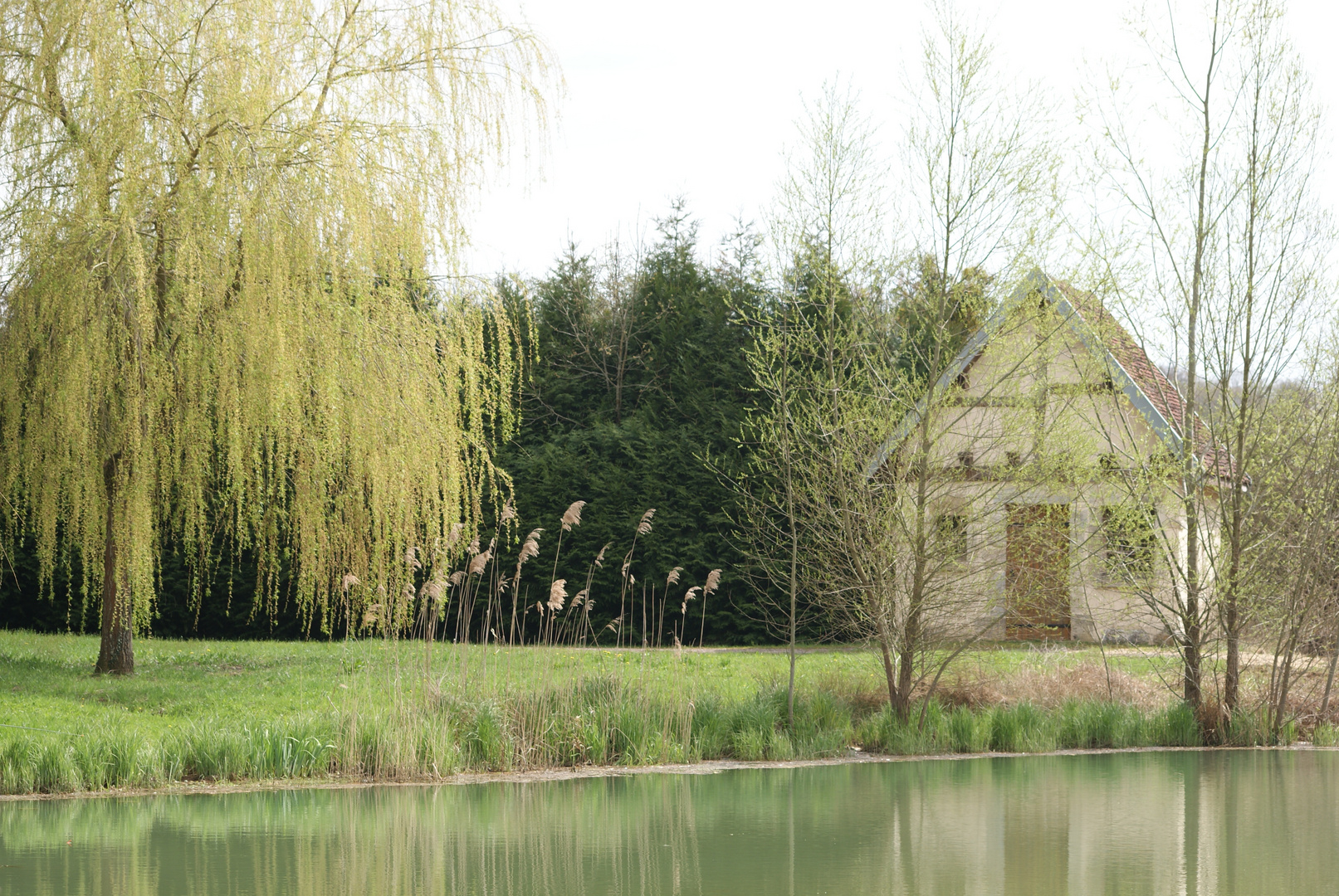 Etang de Fresne St Mames (70)