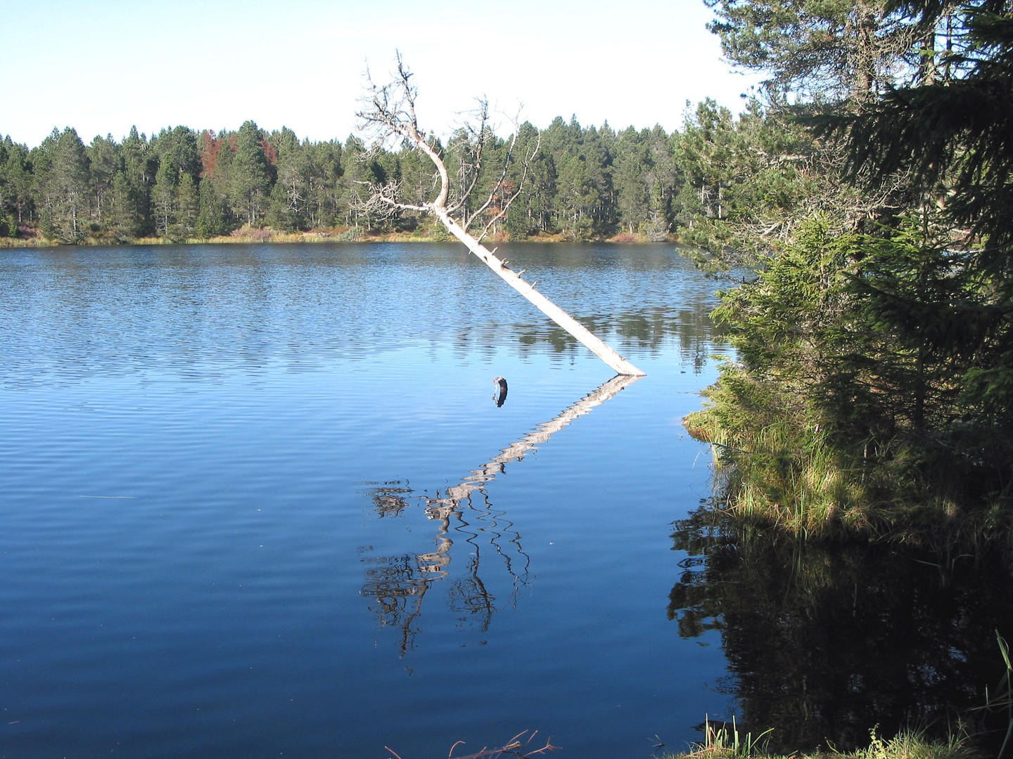 Etang de Gruère  CH