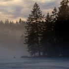 Etang de Gruère dans la brume