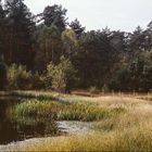 Etang de Hanau..