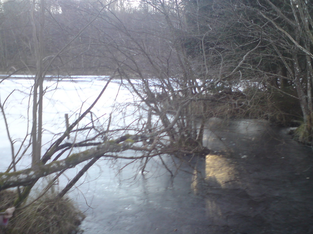 etang de jonas