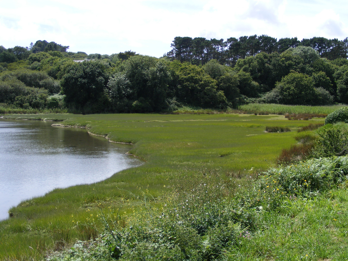 Etang de Kervian (1)