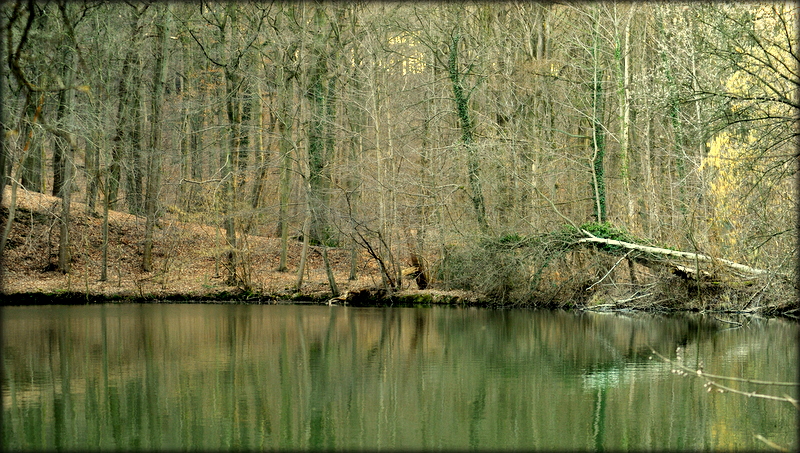 étang de l hauzelle