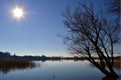 Etang de la bonde