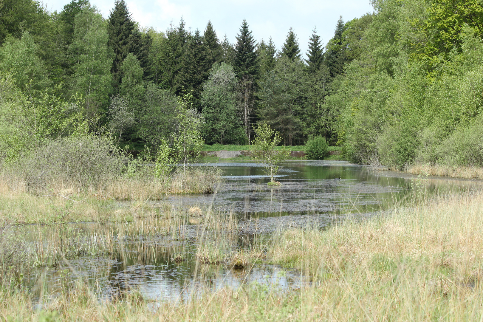 etang de la comtesse