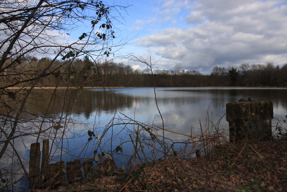 Etang de La Dombes