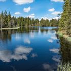 Etang de la Gruère 1