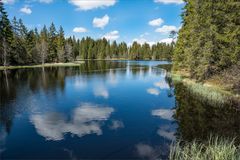 Etang de la Gruère 1