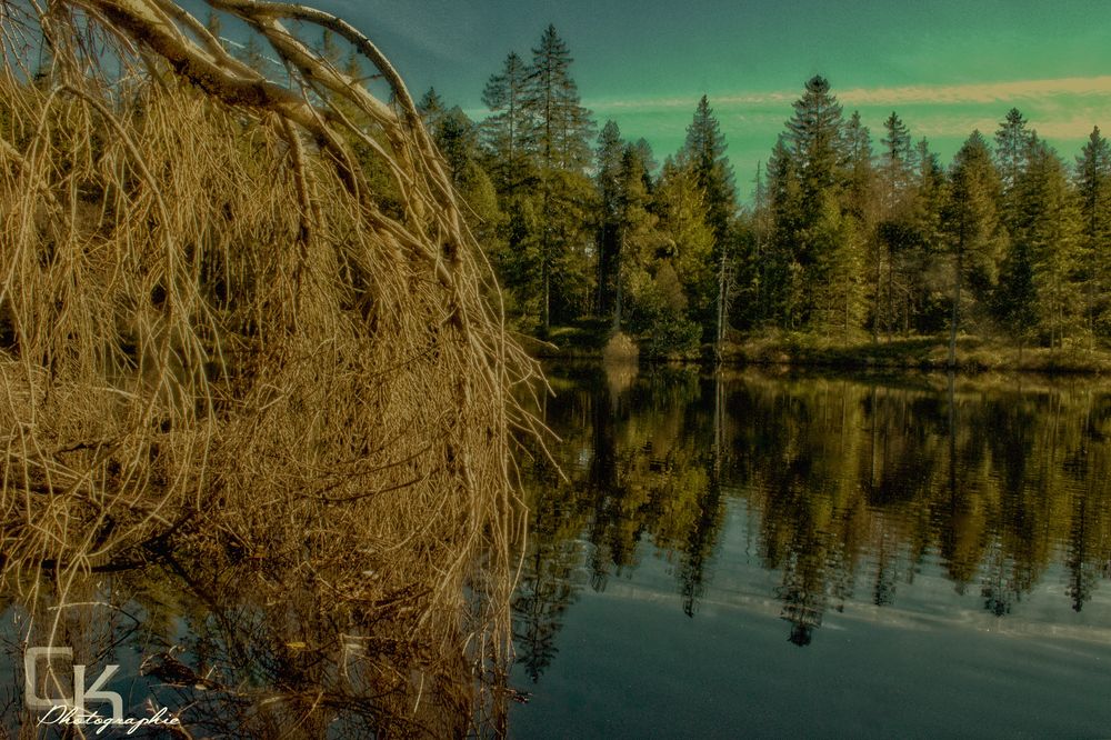 Etang de la Gruère