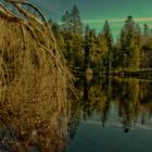 Etang de la Gruère