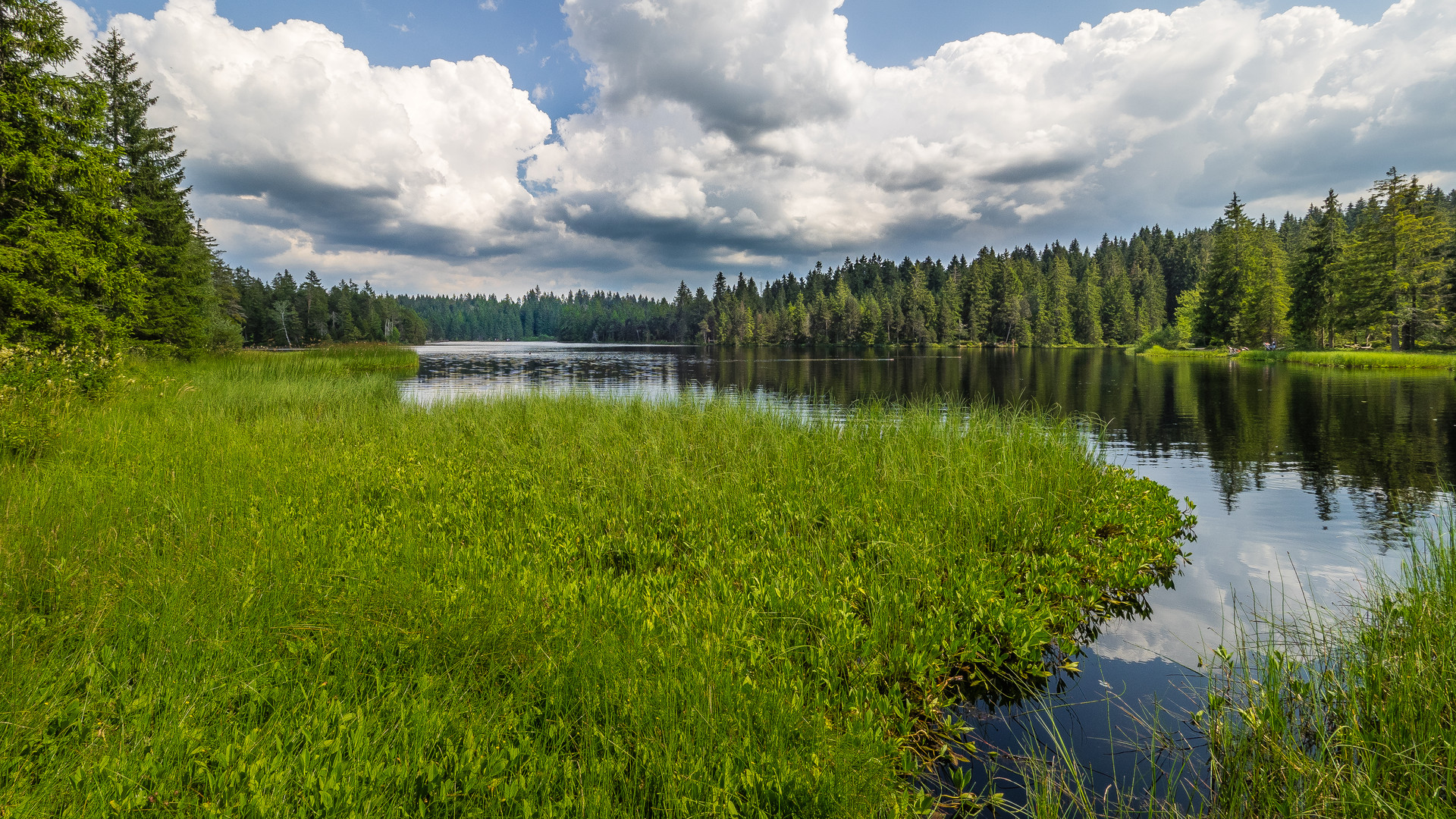 Etang de la Gruère 