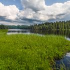 Etang de la Gruère 