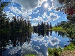 Etang de la gruere