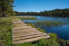 Etang de la Gruère 2