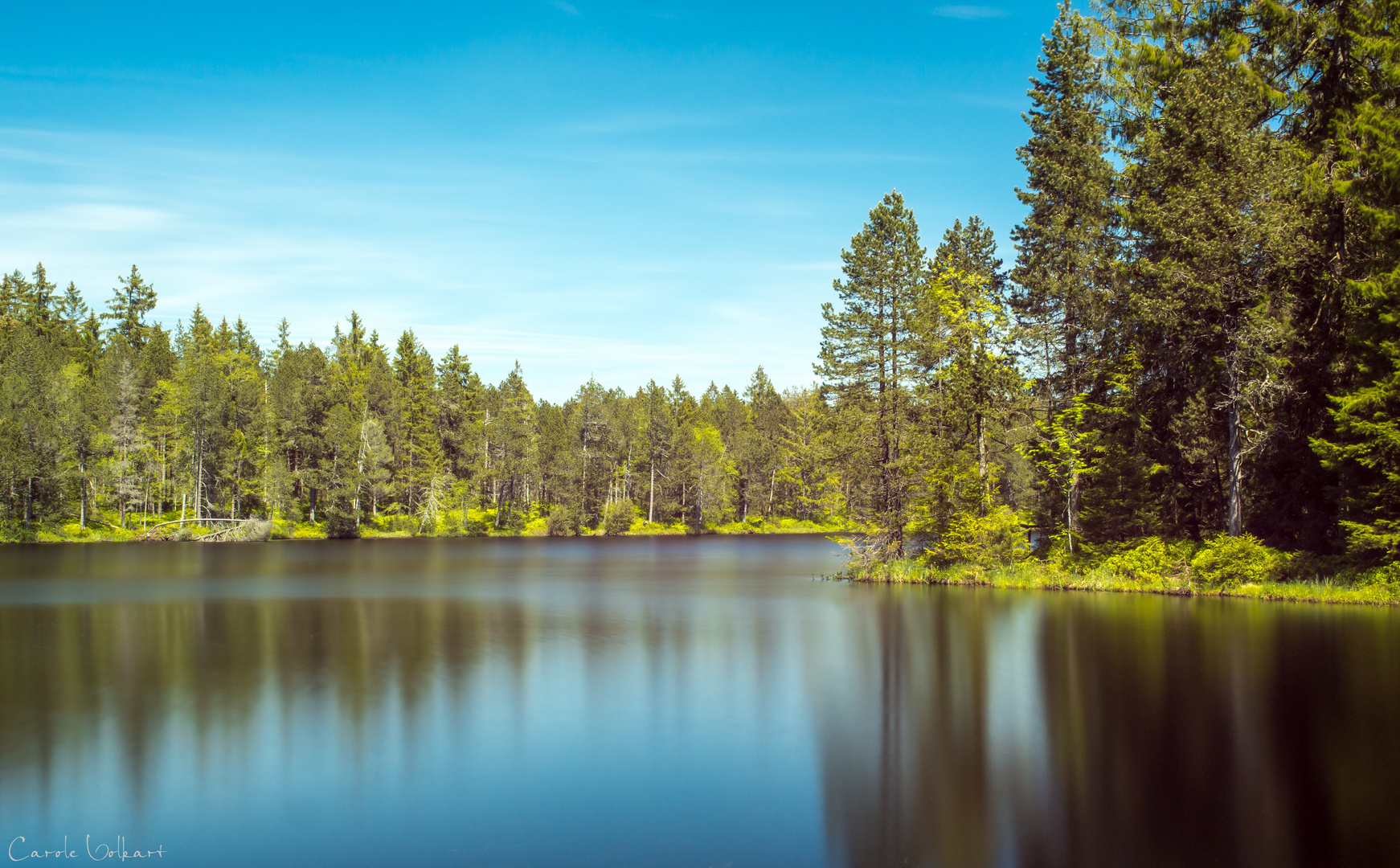 Etang de la Gruère