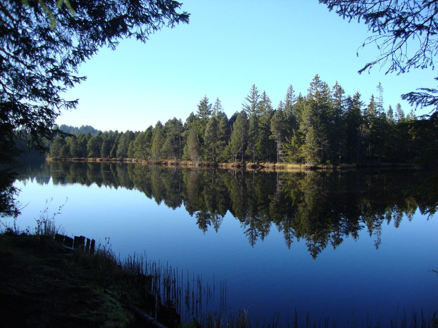 Etang de la Gruére