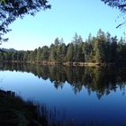 Etang de la Gruére