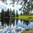 Etang de la Gruere 3