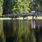 Etang de la Gruère 3