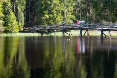 Etang de la Gruère 3