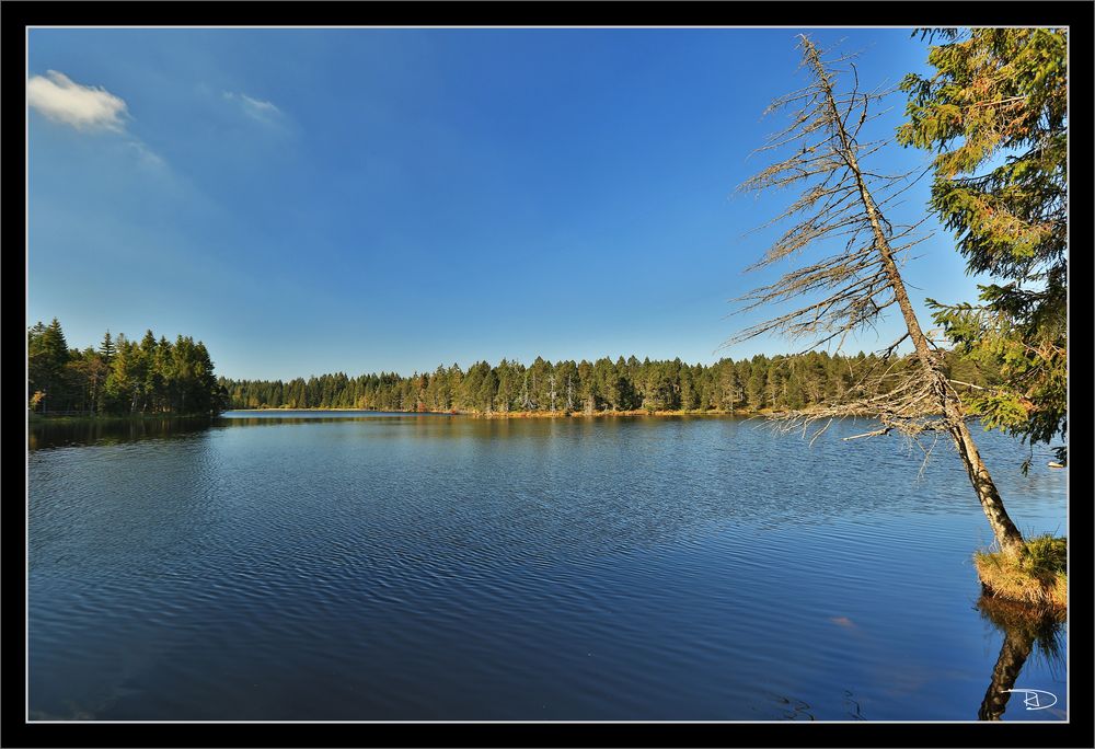 Etang de la Gruère