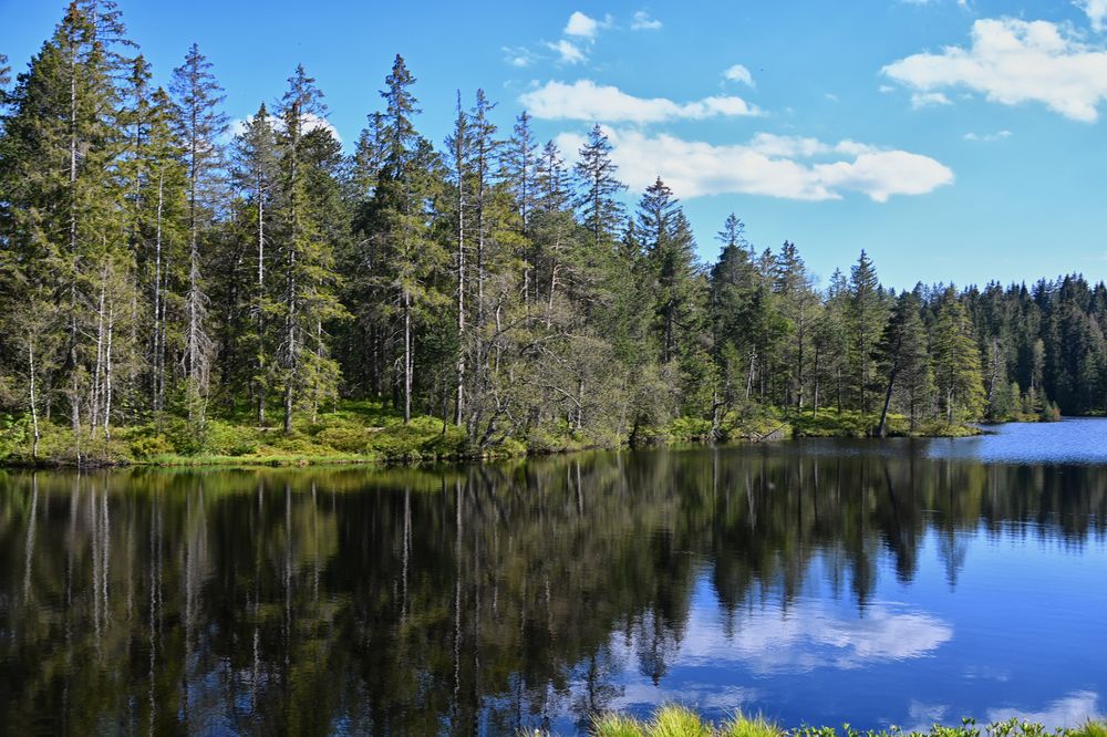 etang de la gruere 4