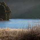 Etang de la Gruère