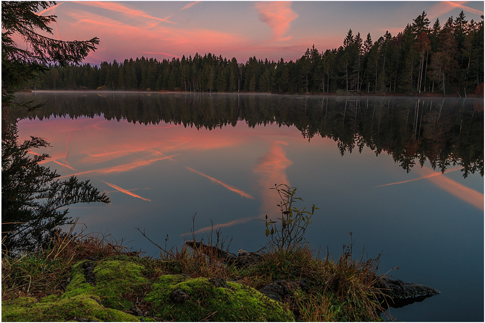 Etang de la Gruère