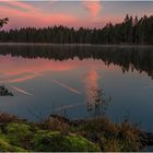 Etang de la Gruère