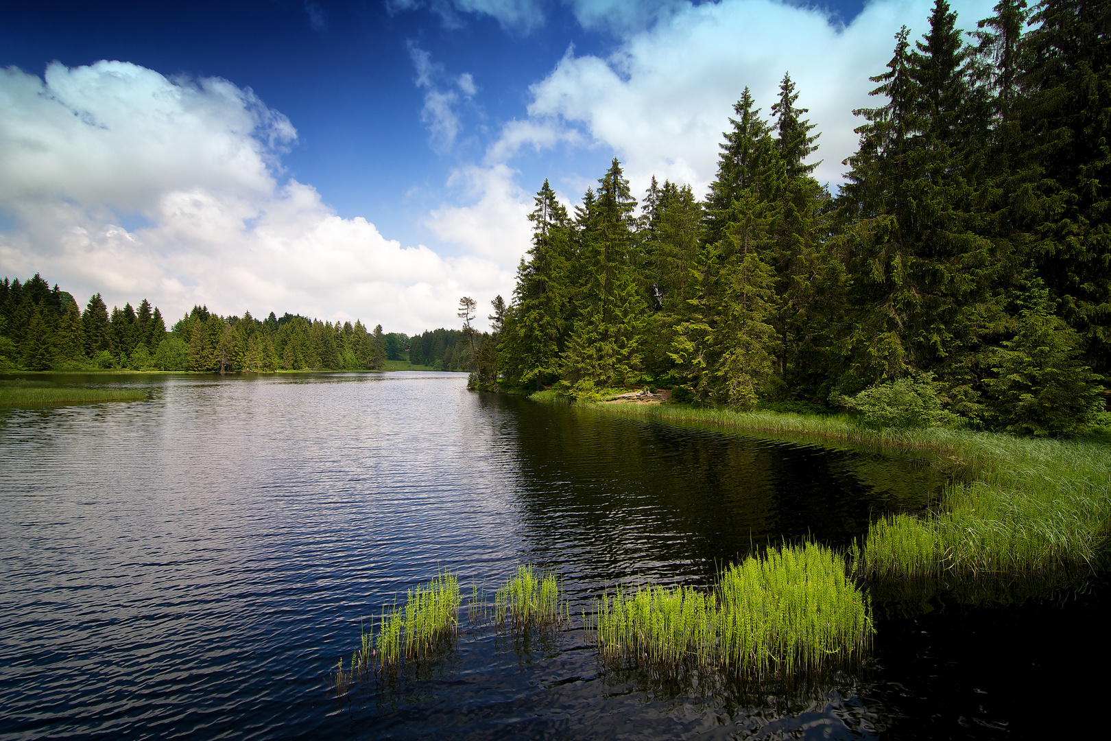 Etang de la Gruère