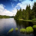 Etang de la Gruère