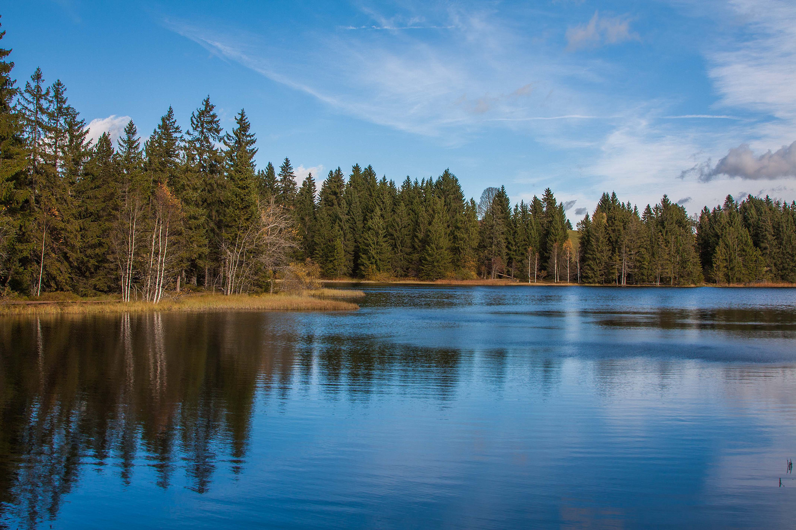 Etang de la gruère