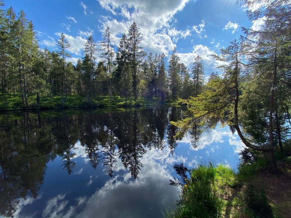 etang de la gruere